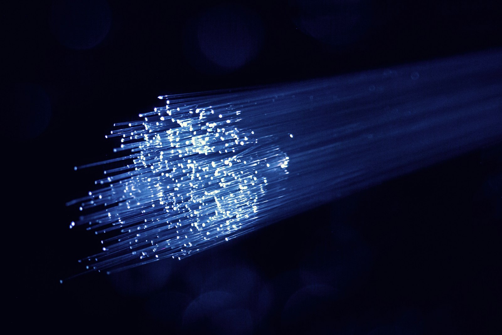 A close-up of illuminated fibre-optic network cables fanning out against a dark background