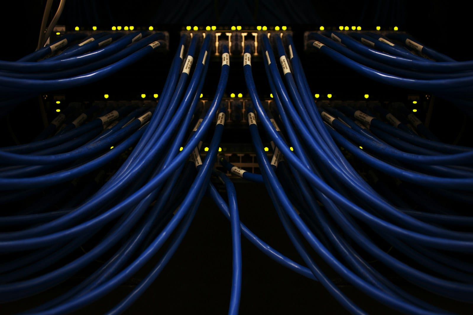 Blue network cables connected to a server rack in a dark data centre